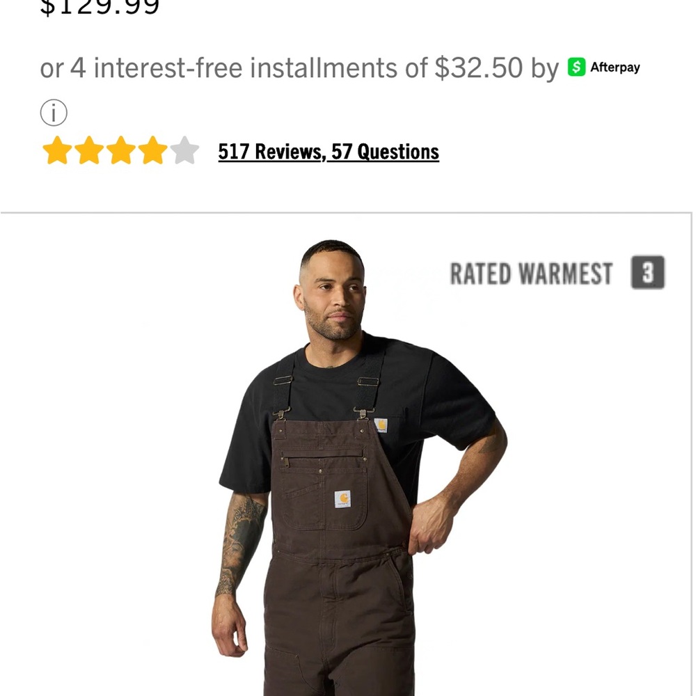 Carhartt Dark Brown Loose Fit Overalls